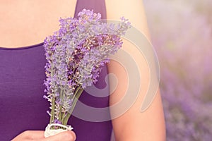 Gathering a bouquet of lavender. Beautiful girl holding a bouquet of fresh lavender in lavender field. Sun, sun haze, glare.