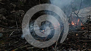 Gathering branches of a burning fire in one pile.