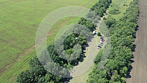 Gathering of a group of farmers in the fields. aerial video