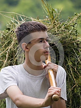 Gathering hay