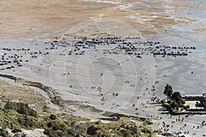 Gathering point for tourists and horsemen at sea of sand at mount bromo