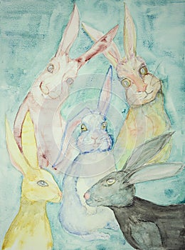 Gathering of rabbits.