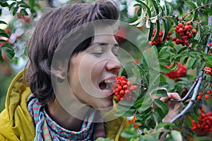 Gathering rowan berries