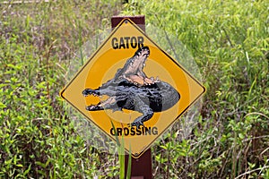 Gator Crossing Sign in Everglades