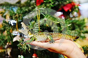 Gator made from glass on palm