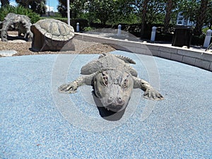 Gator and turtle shell on Florida playground