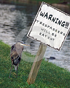 Gatorland Trespassers Eaten Sign