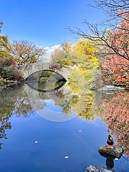 Gatpstow bridge at Central park, autumn, New York city, USA