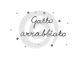 Gatto arrabbiato phrase handwritten with a calligraphy brush. Angry cat in italian. Modern brush calligraphy. Isolated word black