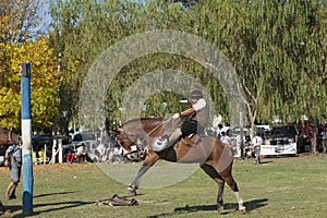 Gaucho cowboy Vaquero at a rodeo riding a horse at a show in Argentina photo