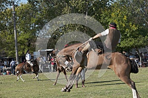 Gaucho cowboy Vaquero at a rodeo riding a horse at a show in Argentina