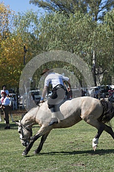 Gaucho cowboy Vaquero at a rodeo riding a horse at a show in Argentina