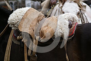 Gaucho horse saddle photo
