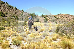 Gaucho horseriding in patagonia