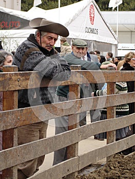 Gaucho in La Rural Buenos Aires, Argentina. photo