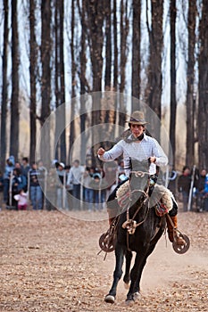 A Gaucho riding a horse in exhibition