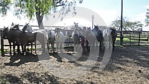 Gauchos from the province of Corrientes