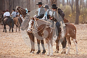 Gauchos riding a horse in exhibition