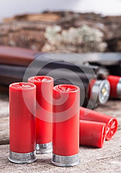 12 gauge shotgun shells