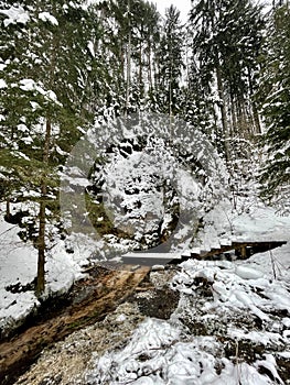 Gauja river coast line ice snow Latvia Vidzeme