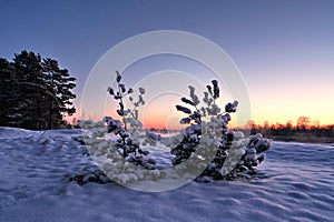 Gauja river after sunset observing