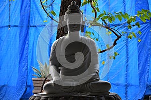 Gautam Buddha meditation for peace