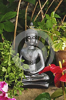 Gautama Buddha in the garden