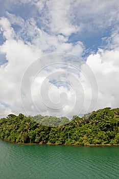 Gautun lake and jungle