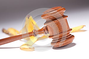 Gavel and Banana Peel on Gradated Background photo