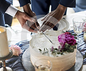 Gay Couple Hands Cutting Wedding Cake