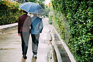 Gay couple holding umbrella and hands together. Back of homosexual men walking in the rain.