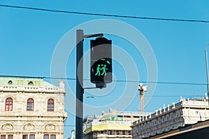 Gay couple pictured at a traffic light in Vienna.