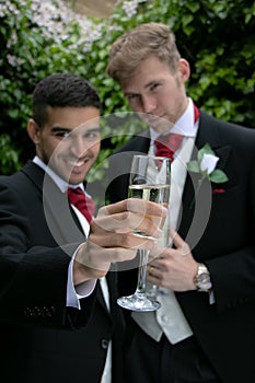 Gay couple at wedding reception toast being married