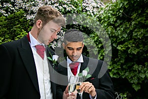 Gay couple at wedding reception toast being married