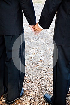 Gay Grooms Holding Hands