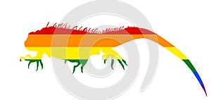 Gay LGBT flag over Iguana vector silhouette illustration isolated on white background.