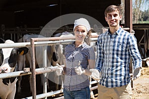 Gay man and woman happily stroking cows