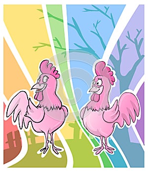 Gay roosters