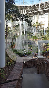 Gaylord Opryland