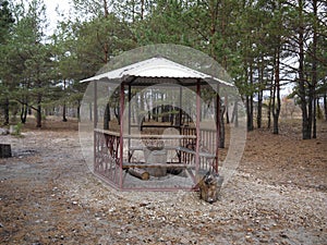 Gazebo in the autumn forest.