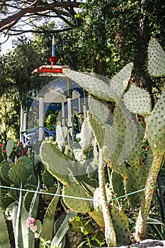 Gazebo among exotic plants in the Nikitsky Botanical Garden in Yalta, Crimea, Ukraine. June 2011