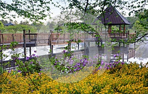 Gazebo on Foggy Lake Surrounded by Spring Flowers