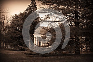 Gazebo in garden