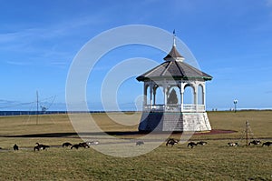 Gazebo located on Martha`s Vinyard, Ocean Park, Oak Bluffs