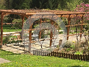 gazebo made of grapes on a wooden frame