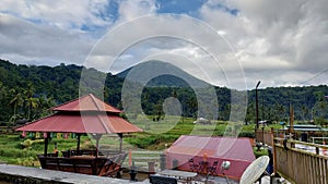 Gazebo in the midlle of rice field with a view of mount Lokon North Sulawesi photo
