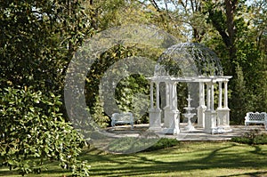 Gazebo in park or garden photo