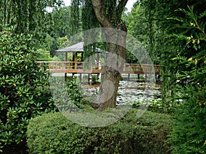 Gazebo on the pier on the pond, Japanese Garden in Wroclaw, Poland