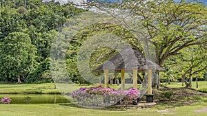 A gazebo for relaxing is set in a tropical garden next to the lake.