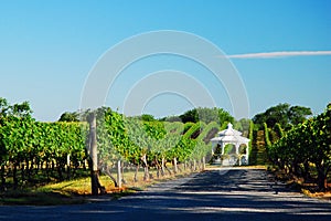 A Gazebo tucked romantically in a vineyard